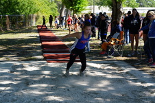Enlarge photo 261