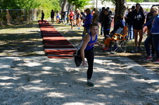 Enlarge photo 262
