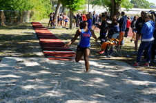 Enlarge photo 272