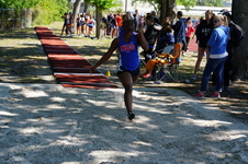 Enlarge photo 273
