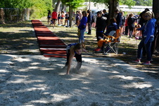 Enlarge photo 279