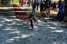 Enlarge photo 280