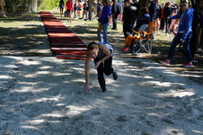 Enlarge photo 281
