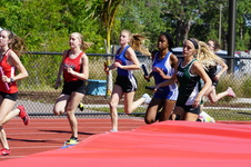 Enlarge photo 293