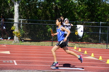 Enlarge photo 311