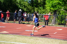 Enlarge photo 316