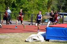 Enlarge photo 373