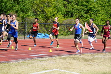 Enlarge photo 381