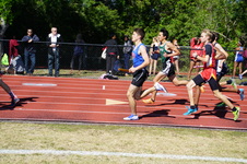 Enlarge photo 390