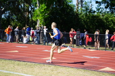 Enlarge photo 433