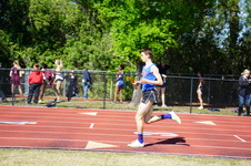 Enlarge photo 446