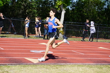 Enlarge photo 458