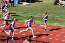 Enlarge photo 523