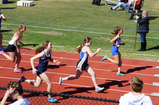 Enlarge photo 524