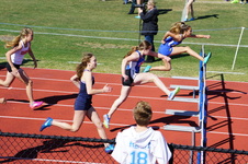 Enlarge photo 525