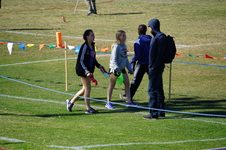 Enlarge photo 530