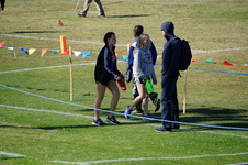 Enlarge photo 531