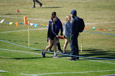 Enlarge photo 532