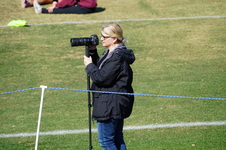 Enlarge photo 533