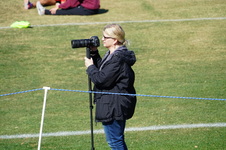 Enlarge photo 534
