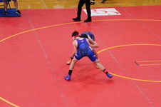 Enlarge photo 77