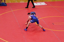 Enlarge photo 78
