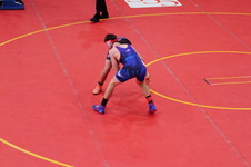 Enlarge photo 80