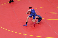 Enlarge photo 81
