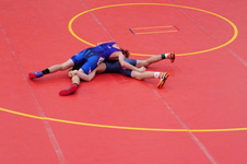 Enlarge photo 85