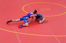 Enlarge photo 92