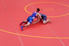 Enlarge photo 93