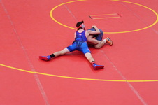 Enlarge photo 96