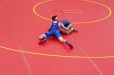 Enlarge photo 97