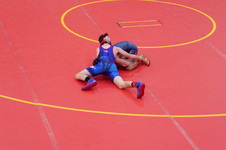 Enlarge photo 98
