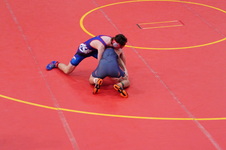 Enlarge photo 104