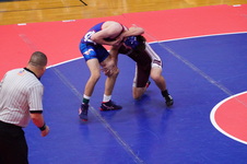 Enlarge photo 113