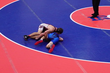 Enlarge photo 133