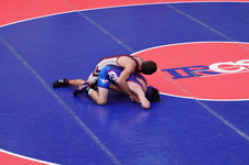Enlarge photo 142