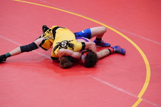 Enlarge photo 413