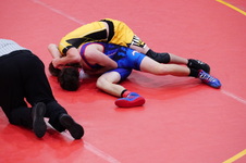 Enlarge photo 417