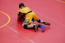 Enlarge photo 422