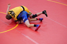 Enlarge photo 425
