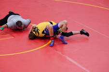 Enlarge photo 429