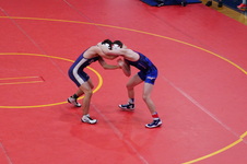 Enlarge photo 461