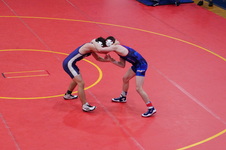 Enlarge photo 462