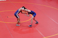 Enlarge photo 464