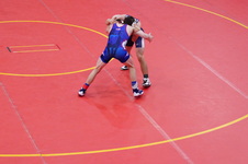 Enlarge photo 471