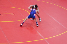 Enlarge photo 472
