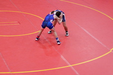 Enlarge photo 473