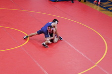 Enlarge photo 475